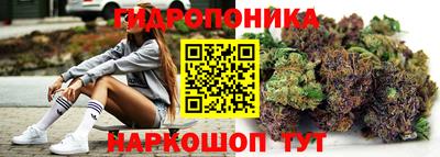 спайс Моздок