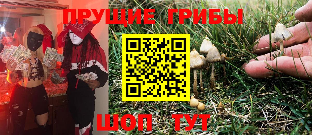 Псилоцибиновые грибы Cubensis Советская Гавань