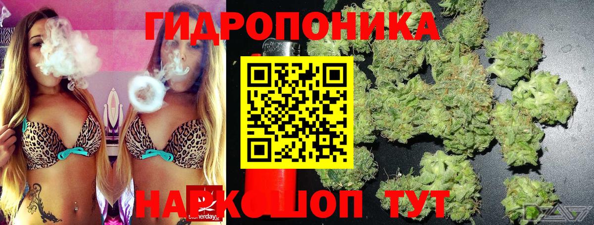 Бошки марихуана конопля  Каннабис планчик  Вход с VPN  Советская Гавань 